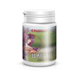Шалфей П драже 100 мг 60 шт. др. 450 мг