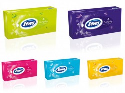 Салфетки для лица Zewa Мир птиц 100 шт.